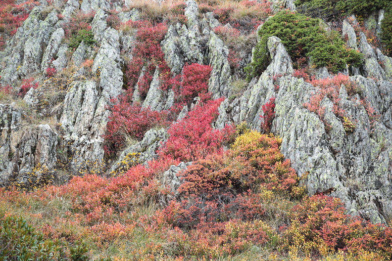 Paysage-Pyrenees-Ossau-Myrtillier-Rocher-2019-10-30-(3).jpg